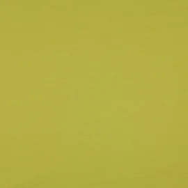 Bio Sommersweat "Josie" Uni Lime 030