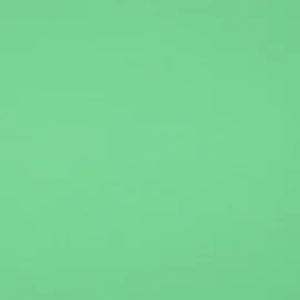 Bio Sommersweat "Josie" Uni Lime 085