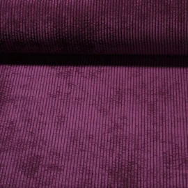 Breitcord Brombeere