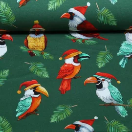 French Terry Weihnachtsvögel Grün