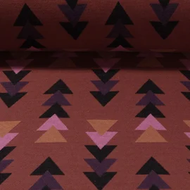 Jacquard Jersey "Fast Forward" Braun