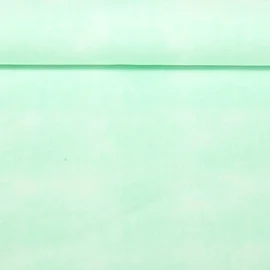 Jersey Jeansoptik Mint