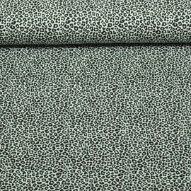 Jersey Leo Klein Mint