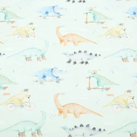 Jersey Little Jax Digitaldruck Dino Mobil Hellmint