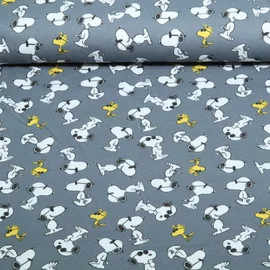 Jersey Snoopy Grau