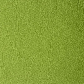 Kunstleder Matt Apfelgrün - 140x50 cm gerollt