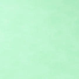 Kunstleder Pastell Mint