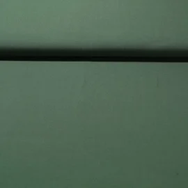 Viskose Light "Willow" Tannengrün