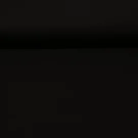 Viskosejersey "Diana" Schwarz