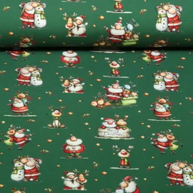 Weihnachtsjersey Weihnachtsmann Rentier Grün