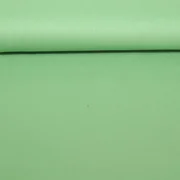 Baumwoll Köper Uni Grün