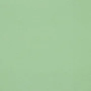 Bio Bündchen "Poppy" Uni Salbeigrün 058