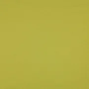 Bio Sommersweat "Josie" Uni Lime 030