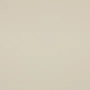 Bio Sommersweat "Josie" Uni Natur 077