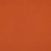 Bio Sommersweat "Josie" Uni Orange 023