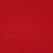 Bio Sommersweat "Josie" Uni Rot 009