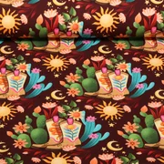 Bio Sommersweat "Western Fairy Tales" Cowgirls Rot