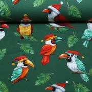 French Terry Weihnachtsvögel Grün