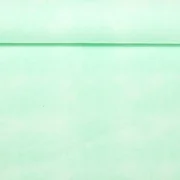 Jersey Jeansoptik Mint