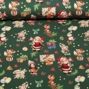 Jersey Weihnachtsmann Und Tiere Grün