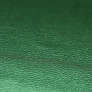 Kunstleder Glänzend Genarbt Tannengrün