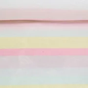Kuschelfleece Doubleface Streifen Pastell