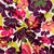  Baumwollsatin Blüten Aubergine