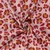 Baumwoll Musselin Double Gauze Leo Rosa