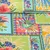Beschichtete Baumwolle Tropische Blumen Multicolor
