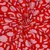 Bio Jersey Jennifer Bouron Blumen Abstrakt Orange