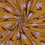 Bio Jersey Jennifer Bouron Blumen Ocker