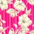 Chiffon Blumen und Streifen Pink Transparent