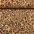 Cord Stretch Leo Braun