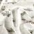 Jersey Tiere im Auto Offwhite