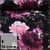 Jogging Glitzerpüppi Digitaldruck Rosen Schwarz