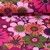 Sommersweat "Blomster" Pink