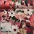 Sommersweat French Terry Digitaldruck Blüten Gemalt Bordeaux