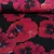 Sommersweat French Terry Mohnblumen Schwarz