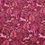 Sommersweat French Terry Wald Tiere Bordeaux