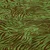 Sommersweat French Terry Zebra Olivgrün