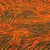 Sommersweat French Terry Zebra Orange