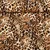 Viskose Popeline Leo Klein Beige