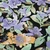 Viskosejersey Rosen Aquarell Schwarz
