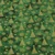 Weihnachtscretonne Weihnachtsbäume Grün